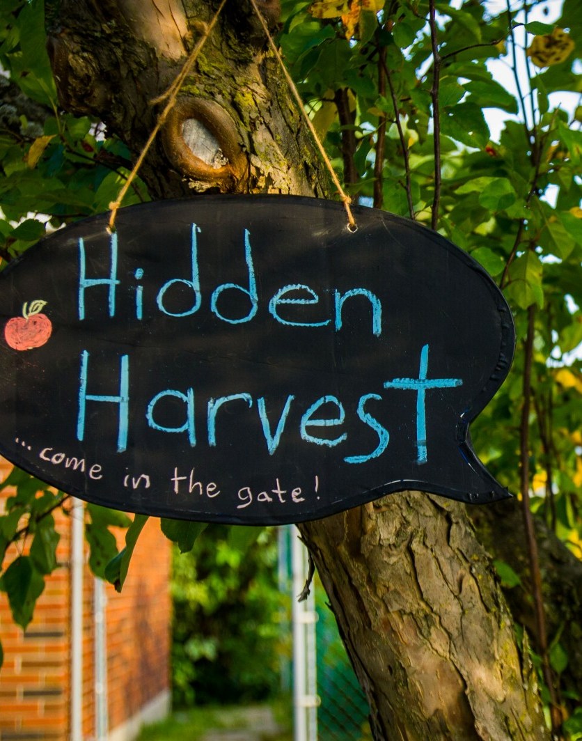 photo by Graham Irvine