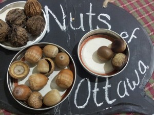 Nuts of Ottawa