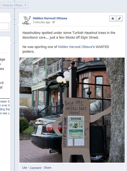 Hazelnutboy! Hazelnutboy!