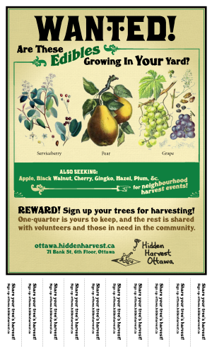 Wanted Poster Image (full)