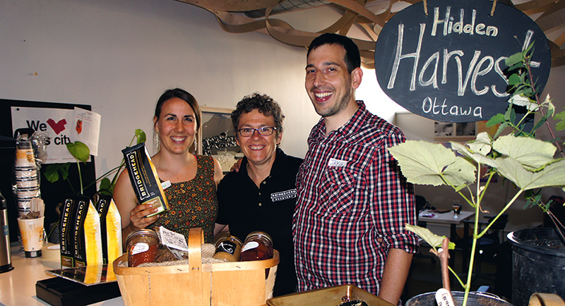 Hidden Harvest Blend